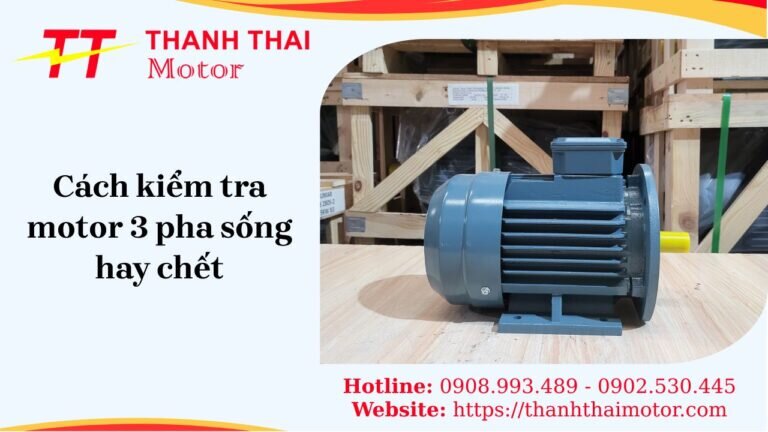 Bật mí cách kiểm tra motor 3 pha sống hay chết tại nhà đơn giản