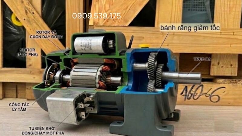 Cấu tạo bên trong motor giảm tốc 1 pha