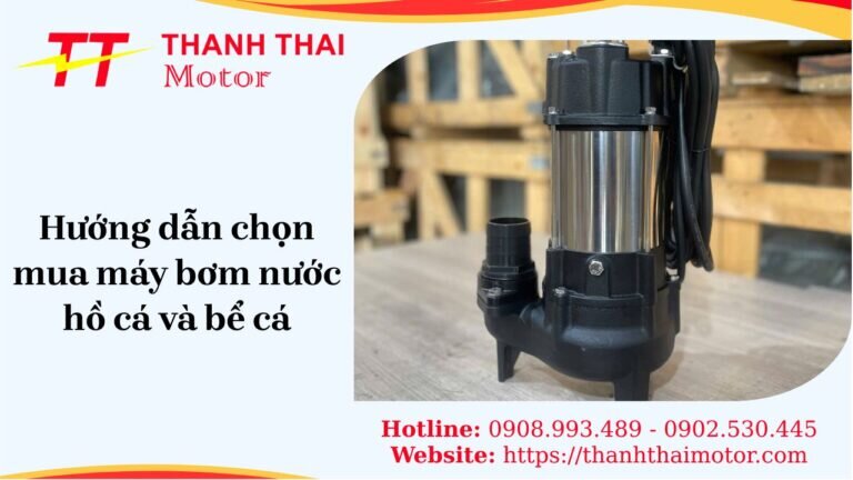Hướng dẫn chọn mua máy bơm nước hồ cá và bể cá