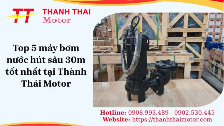 Top 5 máy bơm nước hút sâu 30m tốt nhất tại Thành Thái Motor