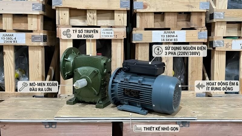 Đặc điểm cảu dòng động cơ giảm tốc trục vít bánh vít 3 pha