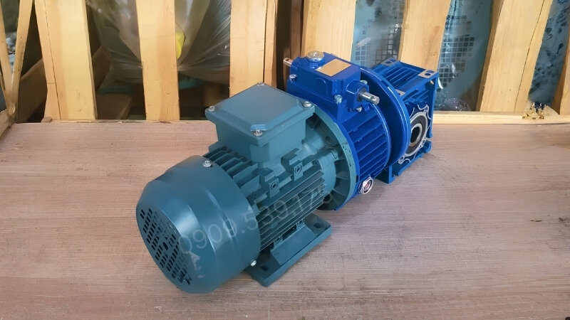 3-Phase NMRV gear motor