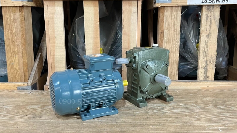 Động cơ giảm tốc WPS
