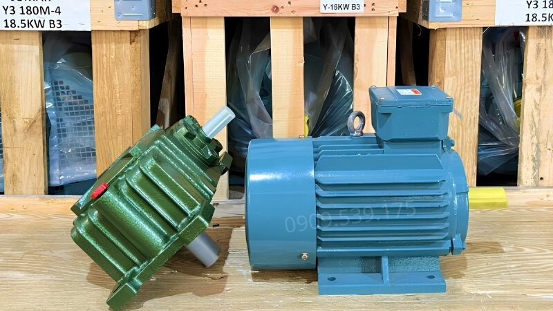 Động cơ giảm tốc WPX