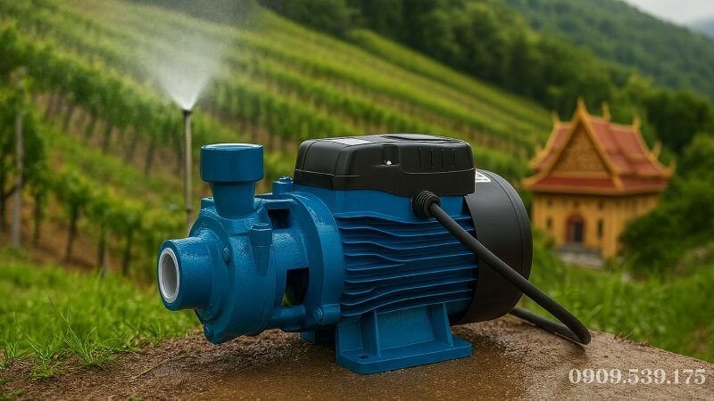Máy bơm nước đẩy cao dùng trong hệ thống tưới phun sương cho nông nghiệp