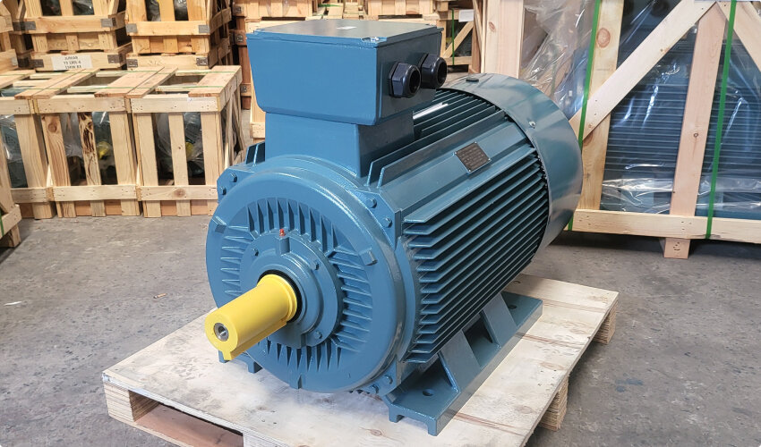 Hình ảnh động cơ điện tại Thành Thái Motor
