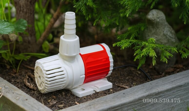 máy bơm nước đẩy cao 5m tưới tiêu cho sân vườn gia đình