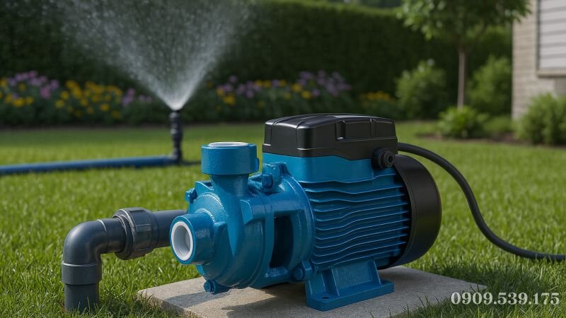 Ứng dụng máy bơm nước đẩy cao gia đình trong cấp nước và tưới tiêu