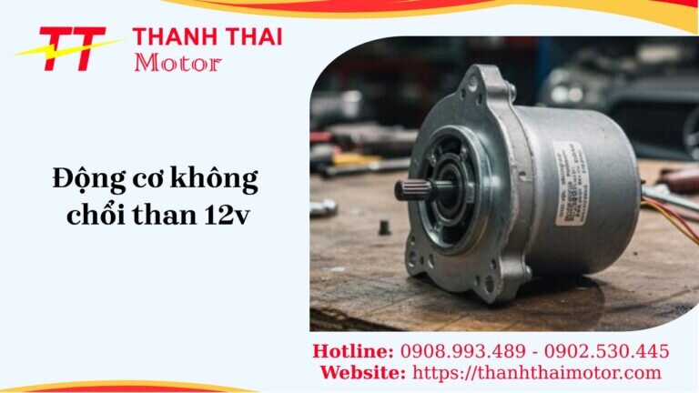 Động cơ không chổi than 12V