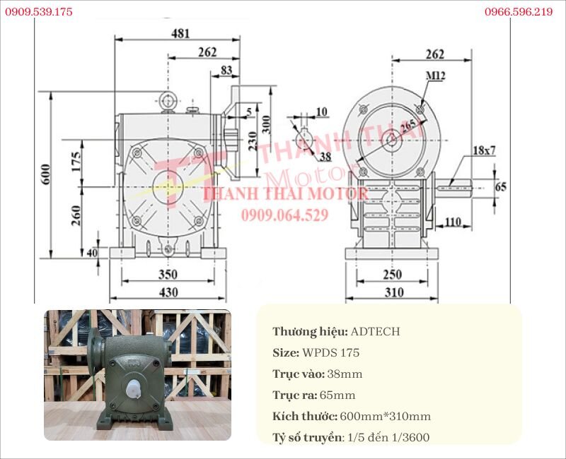 Drawing and technical specifications of WPDS 175 worm gearbox