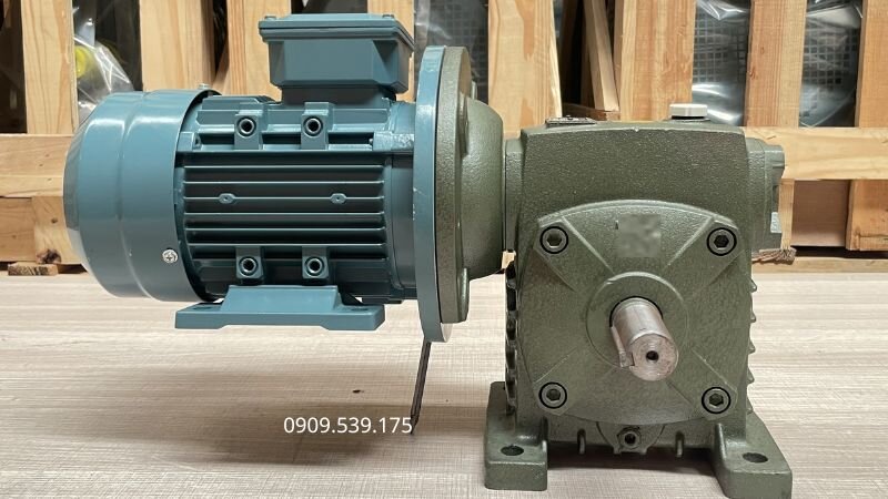 Cấu tạo của motor giảm tốc WPDS 70 0.75kW 1Hp