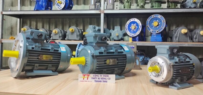 Giải pháp điện cơ toàn diện - Thành Thái Motor, đối tác tin cậy của ngành công nghiệp Việt