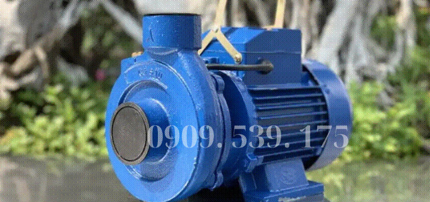 Công suất máy bơm cá sấu giúp bạn dễ dàng so sánh và lựa chọn phù hợp cho nhu cầu thực tế