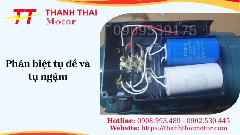 phân biệt tụ đề và tụ ngậm
