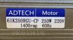 Tem motor giảm tốc mini 250w