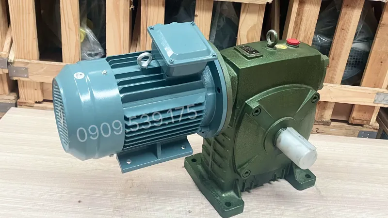 Overall design of the WPDS 250 Gear Motor 15kW 20Hp