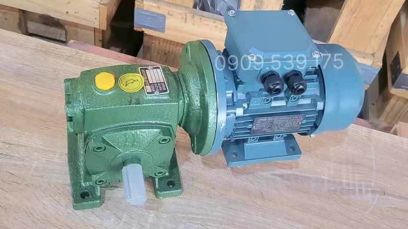 Tổng quan thiết kế motor giảm tốc WPDS 80 1.5kW 2Hp