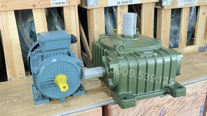 Overview design of the WPO 135 Gear Motor 4kW 5.5Hp