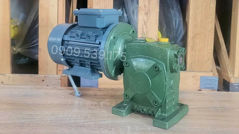 Ứng dụng phổ biến motor giảm tốc WPDS 60 0.37kW 0.5Hp