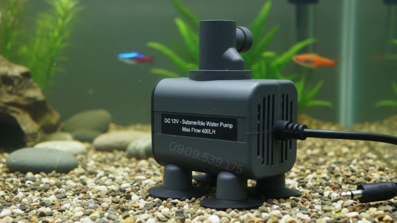 Máy bơm chìm mini hồ cá 12V thường có công suất nhỏ, tiêu thụ ít điện năng hơn đáng kể so với máy bơm 220V.