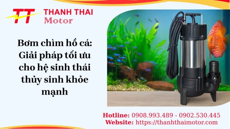 Bơm chìm hồ cá: Giải pháp tối ưu cho hệ sinh thái thủy sinh khỏe mạnh