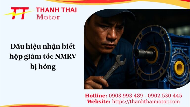 Kỹ thuật viên Thành Thái Motor đang kiểm tra và sửa chữa các dấu hiệu hư hỏng trên hộp giảm tốc NMRV.