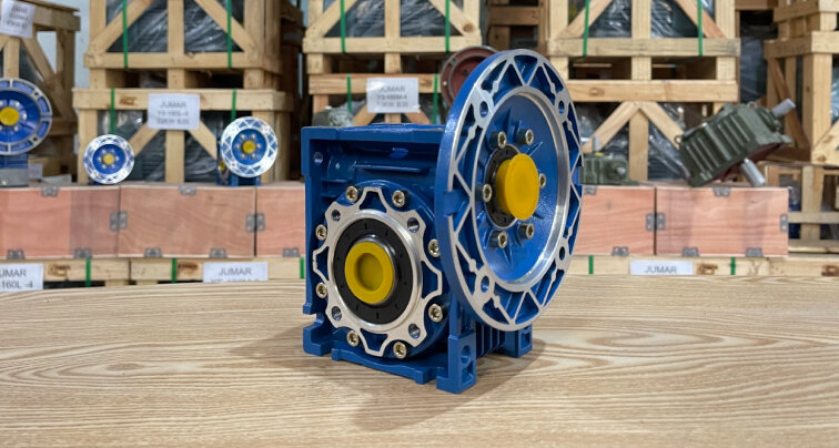 Thành Thái Motor cung cấp hộp giảm tốc NMRV uy tín cho ngành Thực phẩm