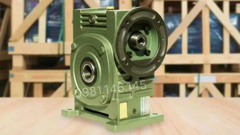 Thiết kế tổng quan hộp giảm tốc trục vít WPDKS 70