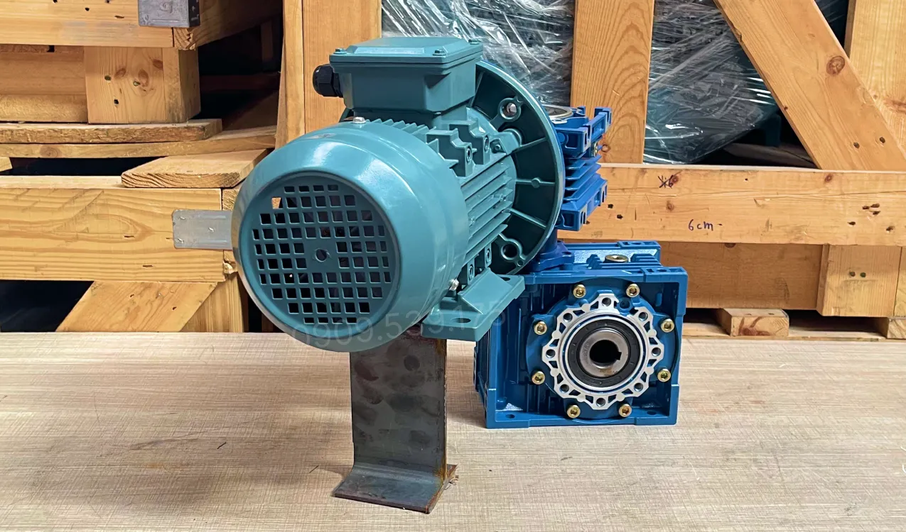 Overview of the NMRV 50-63 2-Stage Gear Motor