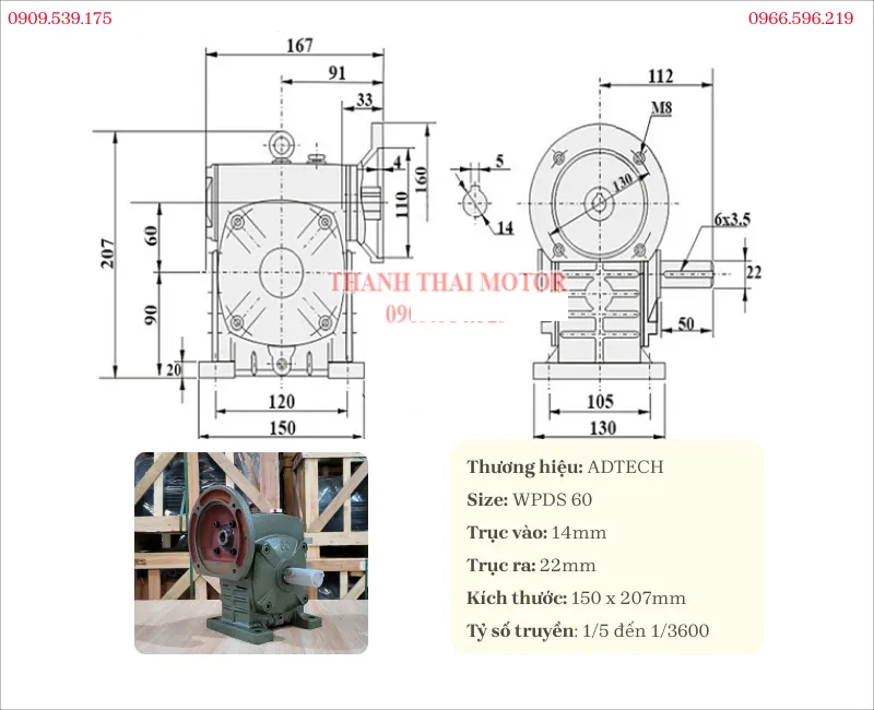 Specifications of WPDS 60 worm gearbox