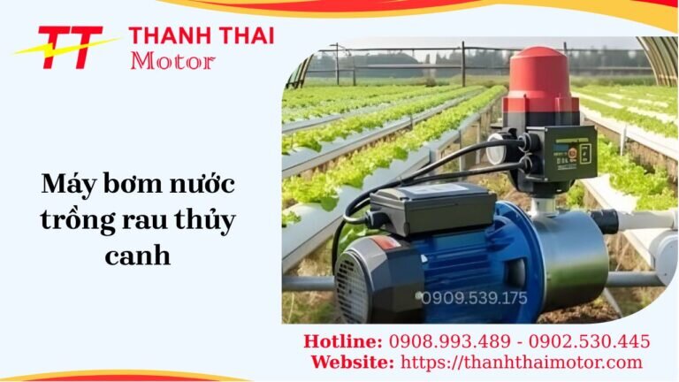 Máy bơm nước trồng rau thủy canh