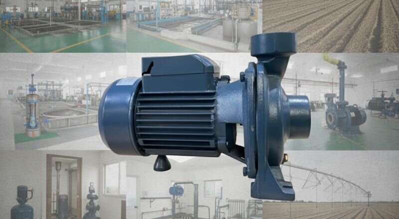 Bơm ly tâm tự mồi được sử dụng trong hệ thống cấp thoát nước, nông nghiệp và các nhà máy công nghiệp