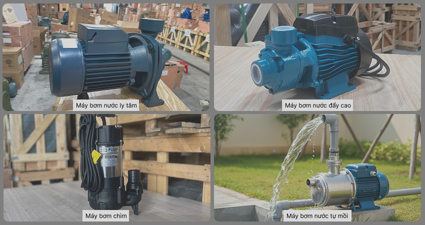 Thị trường hiện nay cung cấp một loạt các máy bơm nước 1hp đa dạng với mỗi loại được thiết kế chuyên biệt để phục vụ một mục đích sử dụng cụ thể