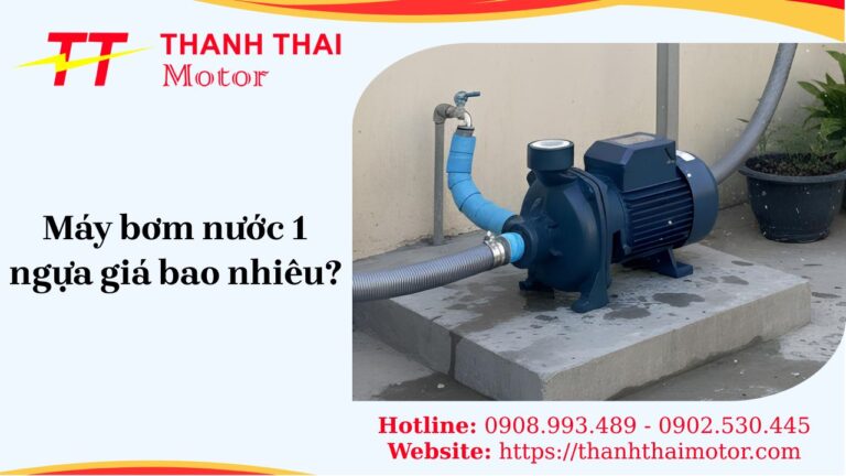 Mô tơ bơm nước 1 ngựa giá bao nhiêu? So sánh và tư vấn chọn