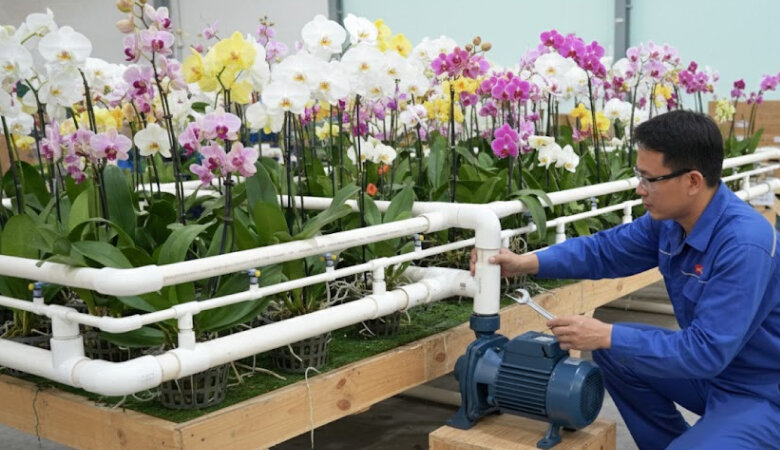 Quy trình lắp đơn giản máy bơm nước