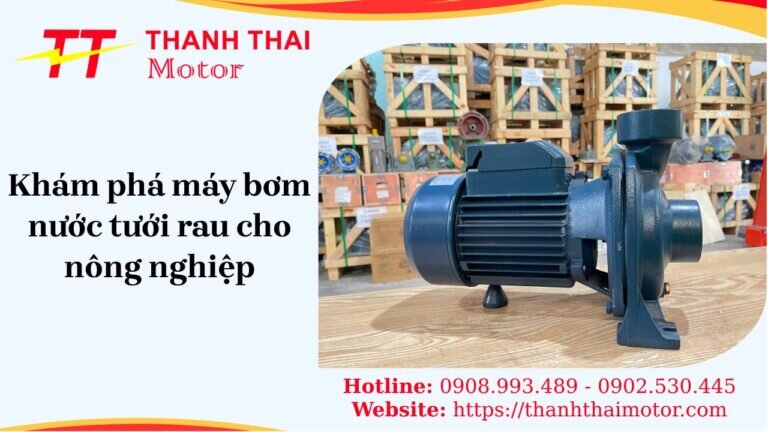 Khám phá máy bơm nước tưới rau hiệu quả tối ưu cho vườn nhà