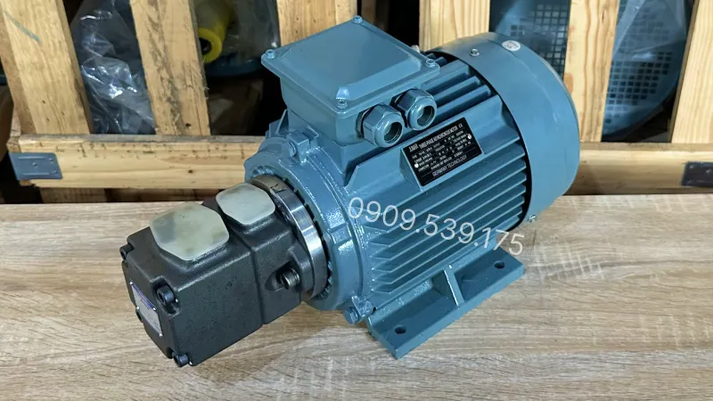 Overall design of the 4.0kW 5.5Hp Hydraulic Pump