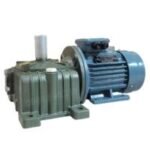 Worm Gear Motors