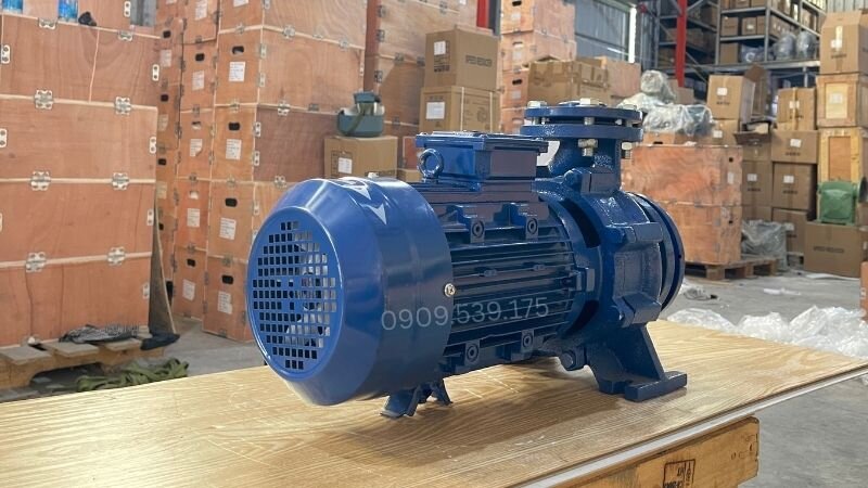Máy bơm nước ly tâm công suất 100m3/h tại Thành Thái Motor.