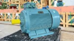 Động cơ điện 3 pha 110kW 150Hp chính hãng