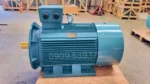 Kết cấu vững chắc của động cơ điện 3 pha 132kW 180Hp