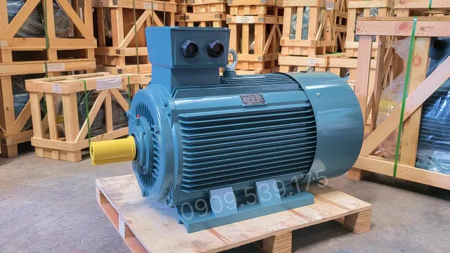 Động cơ điện 3 pha 220kW 300Hp chính hãng