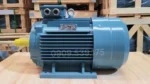 Kết cấu vững chắc của động cơ điện 3 pha 22kW 30Hp