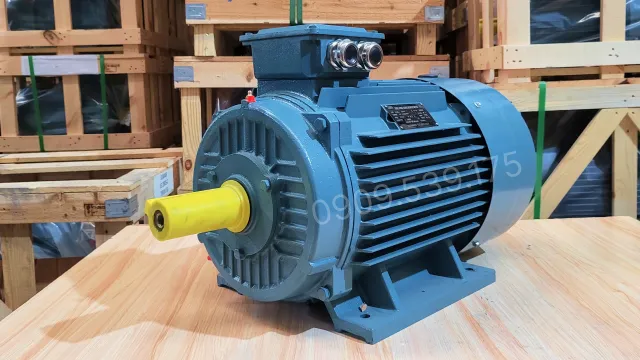 Động cơ điện 3 pha 30kW 40Hp chính hãng