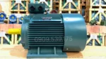 Kết cấu vững chắc của động cơ điện 3 pha 37kW 50Hp