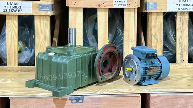 Motor giảm tốc WPDO 100 1.5kW 2Hp chính hãng