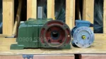 Motor giảm tốc WPDO 50 0.18kW 0.25Hp mặt trước