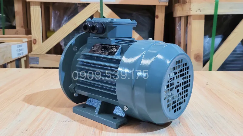 General design of the 3-Phase Electric Motor 1.1kW 1.5Hp