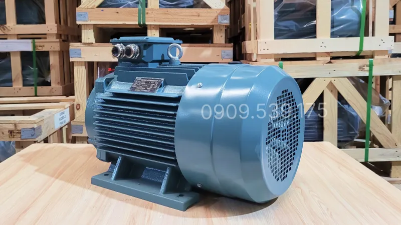 Thiết kế tổng quan động cơ điện 3 pha 30kW 40Hp
