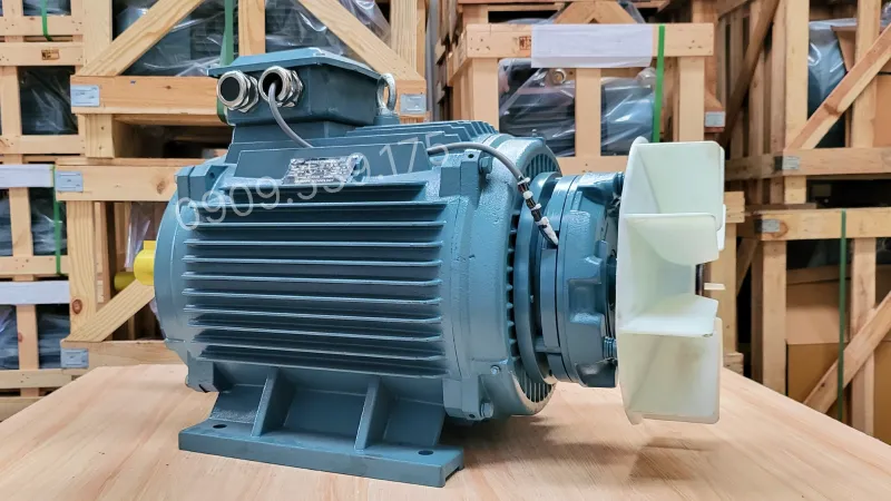 Thiết kế tổng quan động cơ điện có phanh 15kW 20Hp